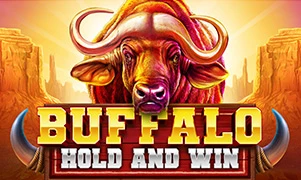 Buffalo Hold and Win